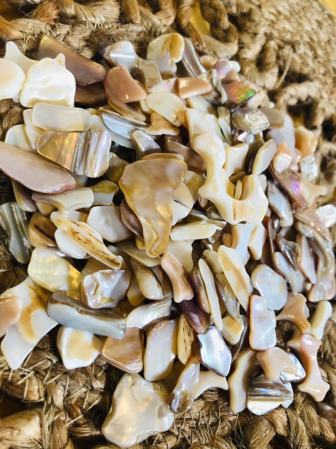Crushed sea shells!!