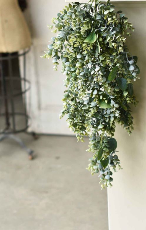 Enclave Eucalyptus Hanging | 31"