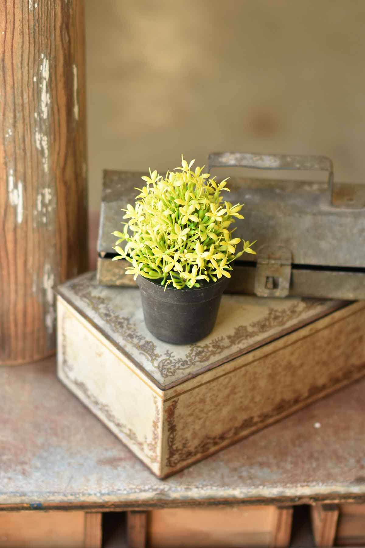 Meadow Glade Pot | Yellow | 5.75"