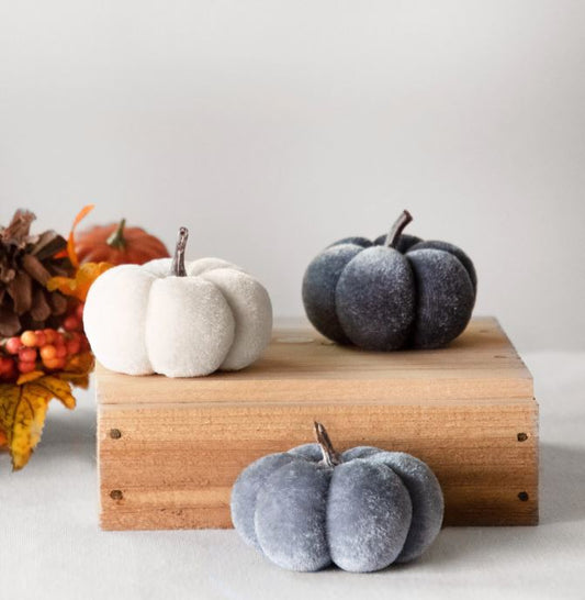 COOL COLORED MINI VELVET PUMPKINS  * 3 COLORS