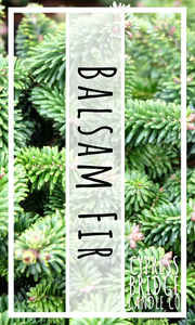 Balsam Fir Fragrance Oil