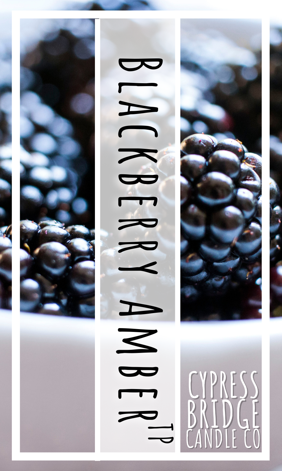 Blackberry Amber Fragrance Oil  Buy Wholesale From Bulk Apothecary
