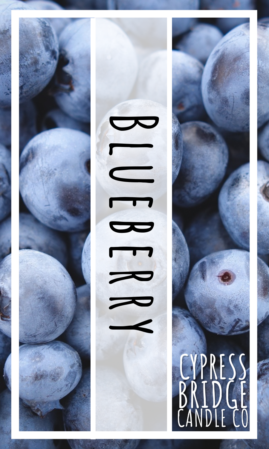 Blueberry Fragrance Oil