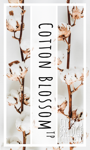 Cotton Blossom Type Fragrance Oil