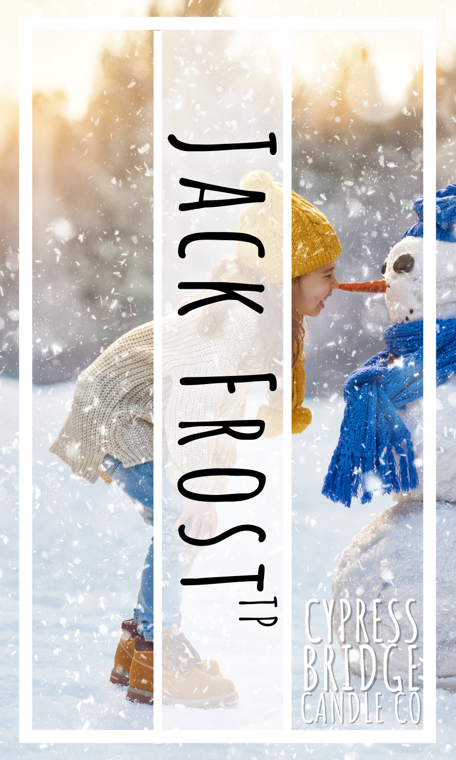 Jack Frost TP Fragrance Oil