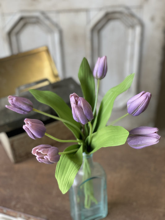 Tulip Time | 14.5" | Lavender | set/7