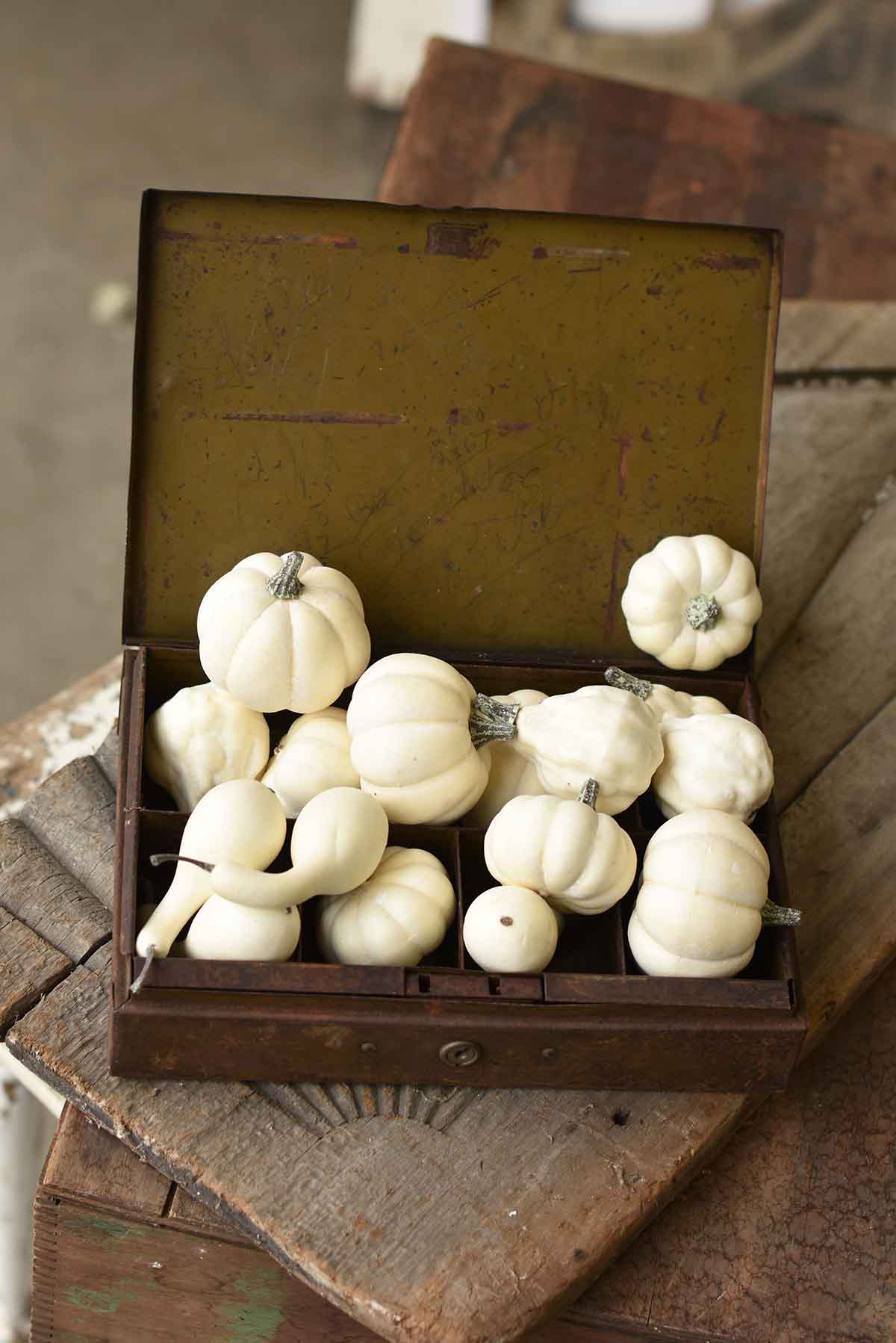 Fall's Folly Mini Pumpkins | 16pcs