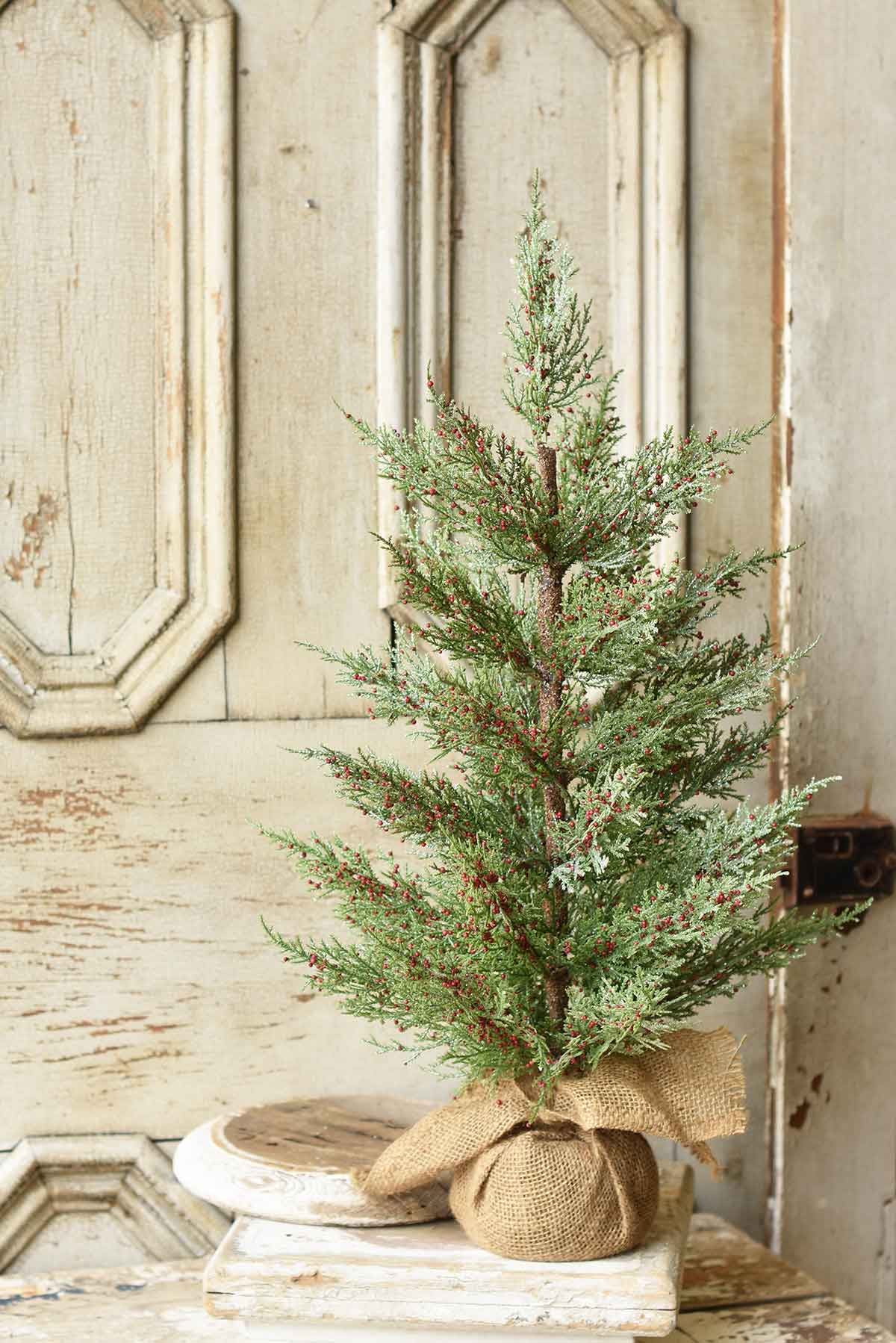 Dashing Cedar & Berry Tree | 24"