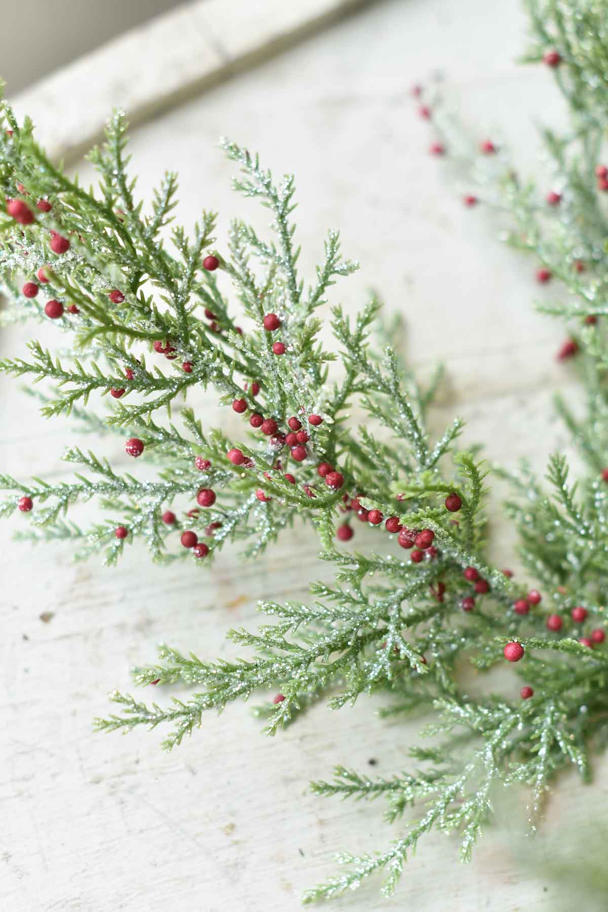 Dashing Cedar & Berry Tree | 24"