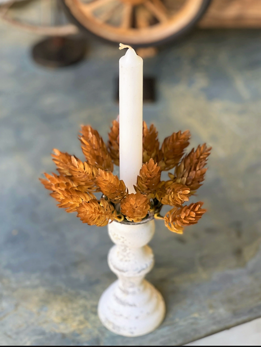 Autumn Awe Hops Taper Candle Ring | 5"