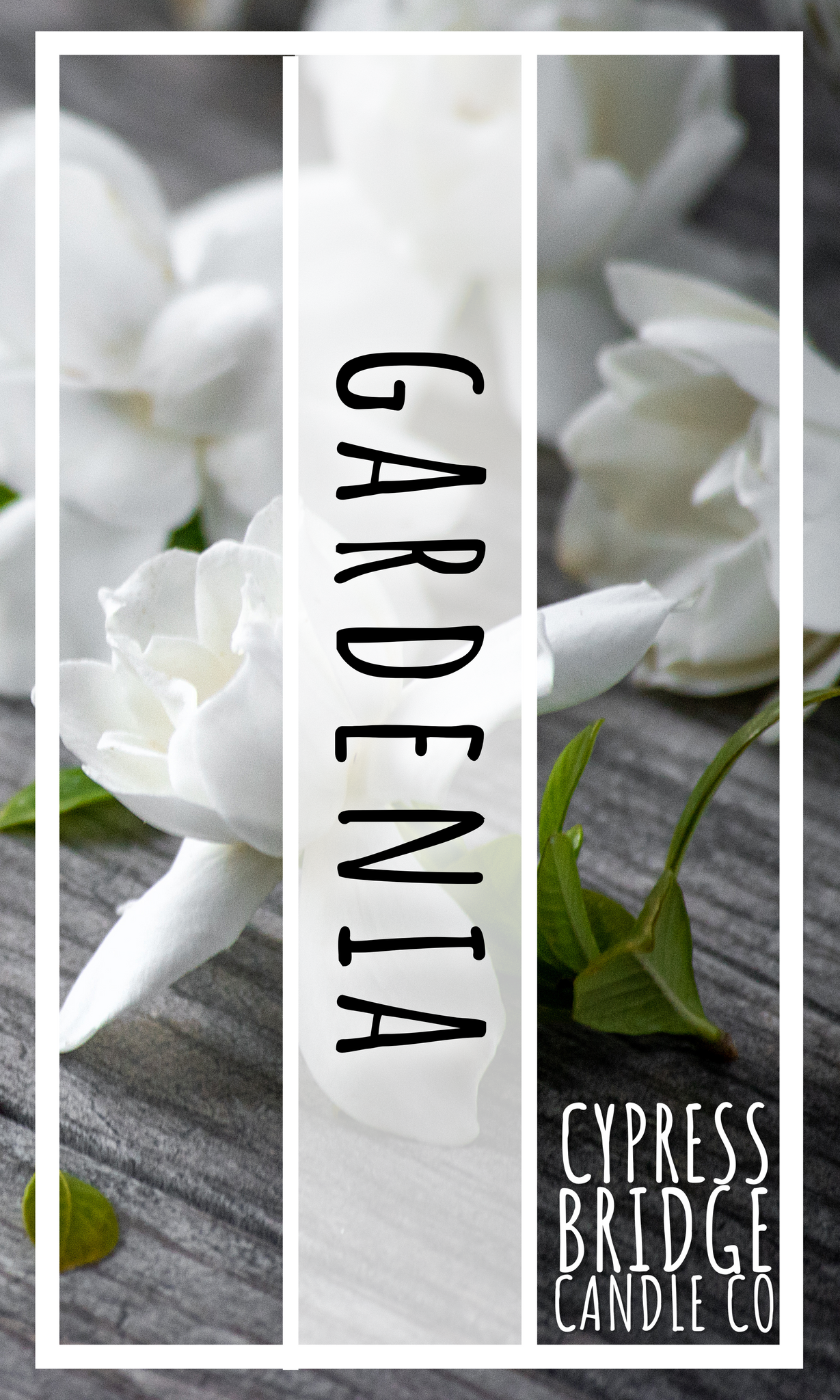 Gardenia Fragrance Oil