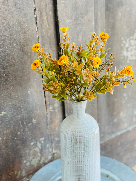 Autumn Rosette Bush | 3 colors | 12" *