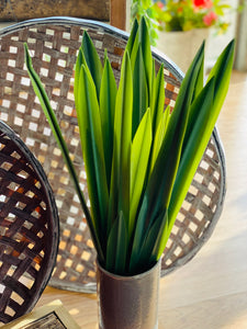 REAL TOUCH ORCHID LEAVES WITH BARE ROOTS *
