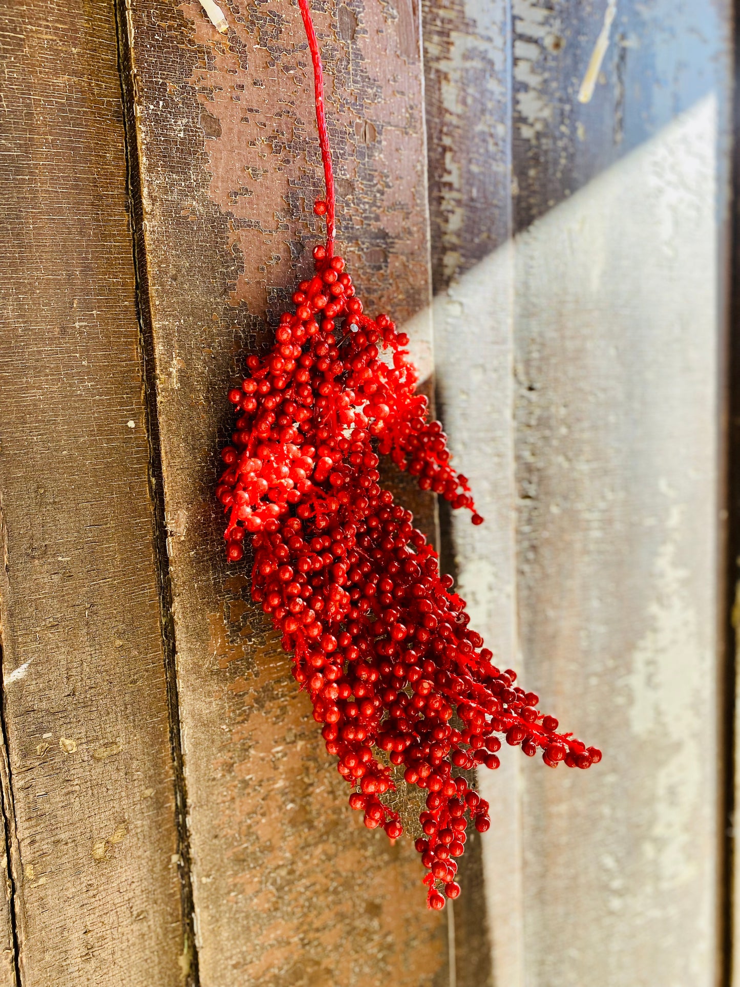 Bright Red Berry Pick