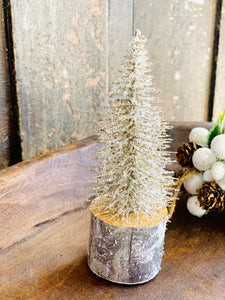 Snowy Foxtail Pine Tree | 6" Platinum **