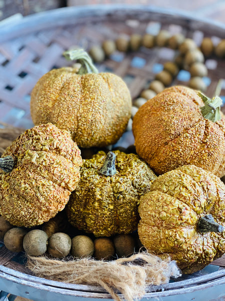 Furrowed Pumpkins | 5pc **