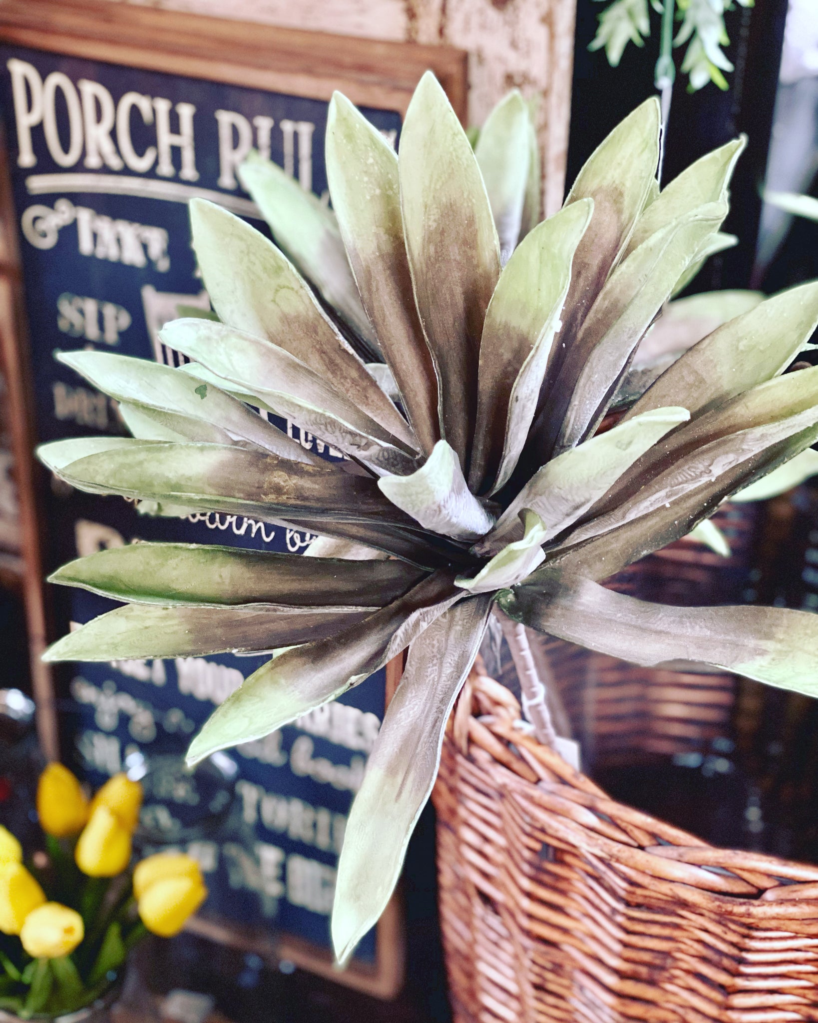 BOTANICA #925 - LG SUCCULENT *