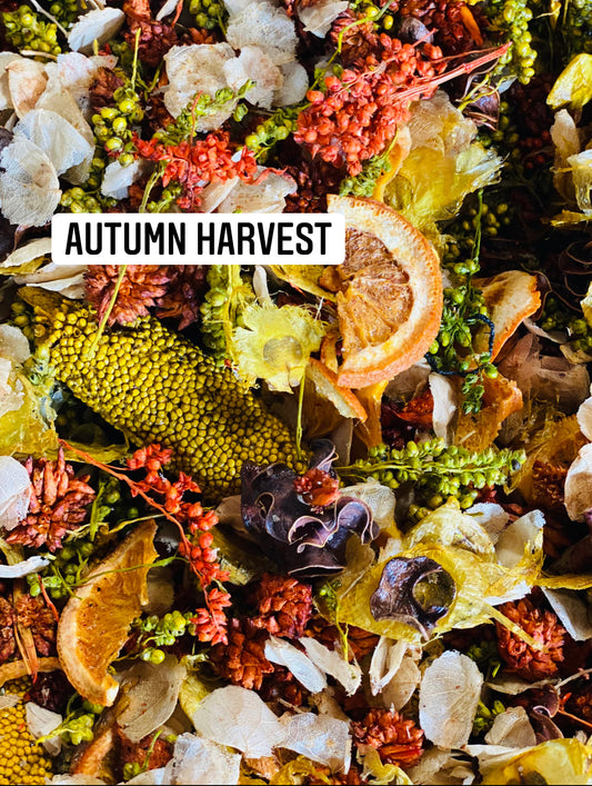 FALL or CHRISTMAS hand blended POTPOURRI + Matching Spray Refresher