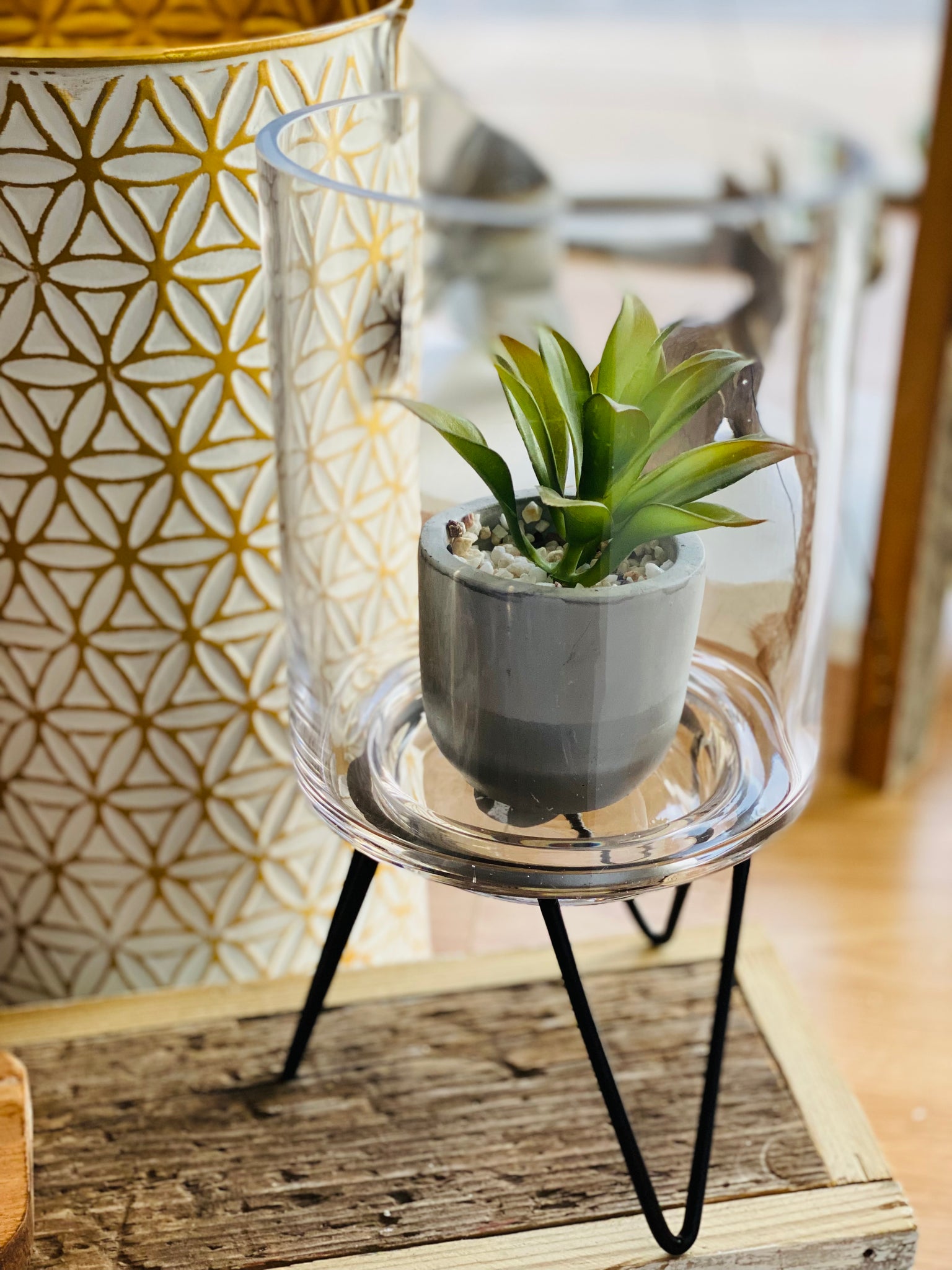 Glass Planter with Metal Stand, Clear * – Cypress Bridge Candle Co.