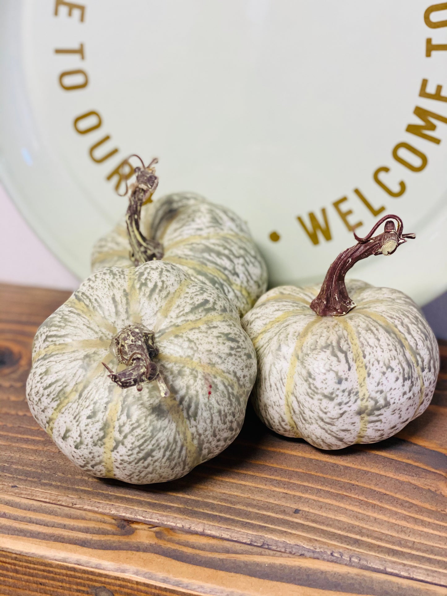 Fall's Flush Pumpkin | 4.5"