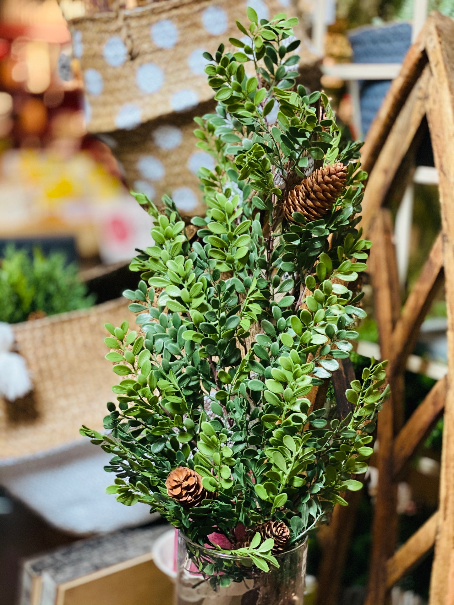 29" TEARDROP BOXWOOD